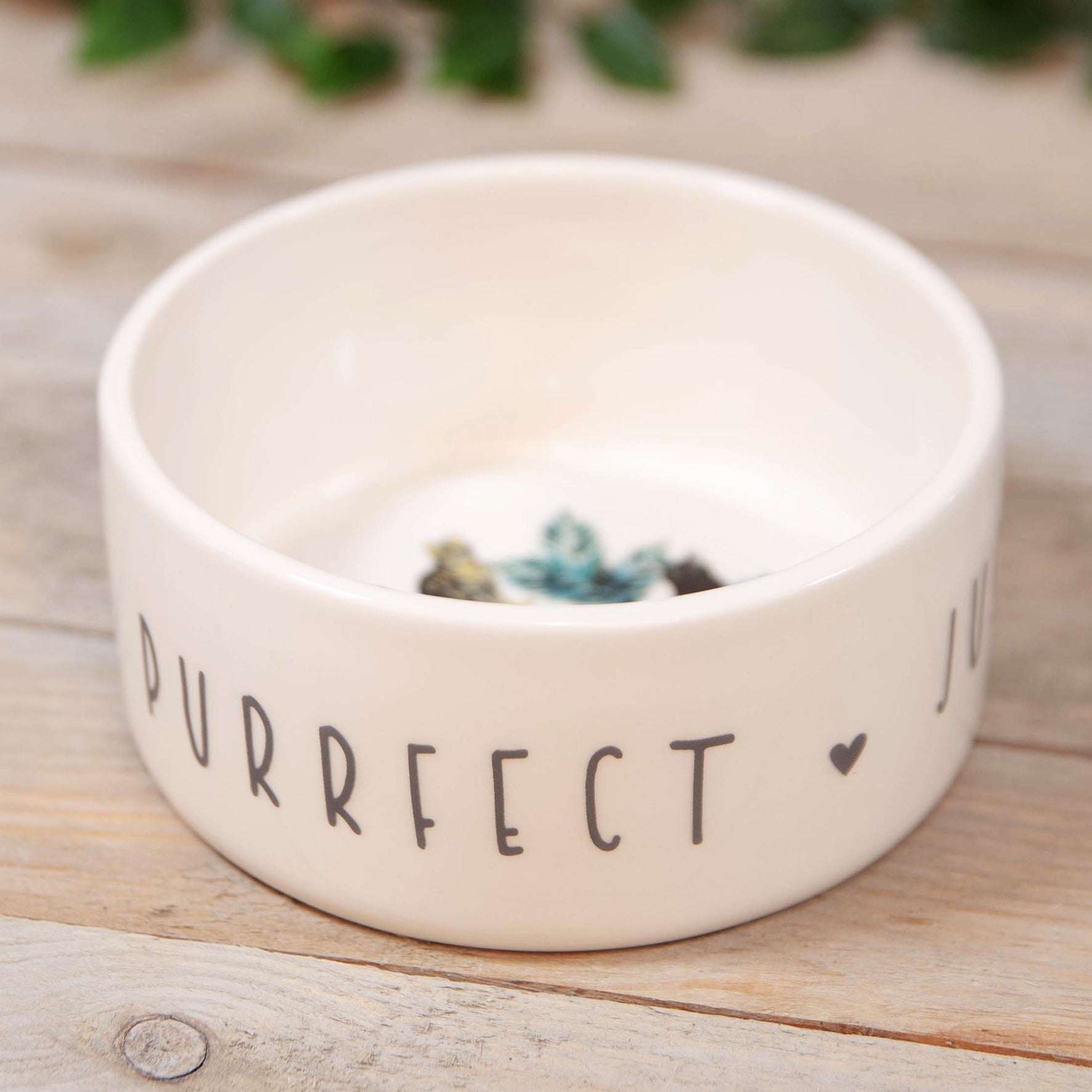 Best of Breed Ceramic Pet Bowl - Cat