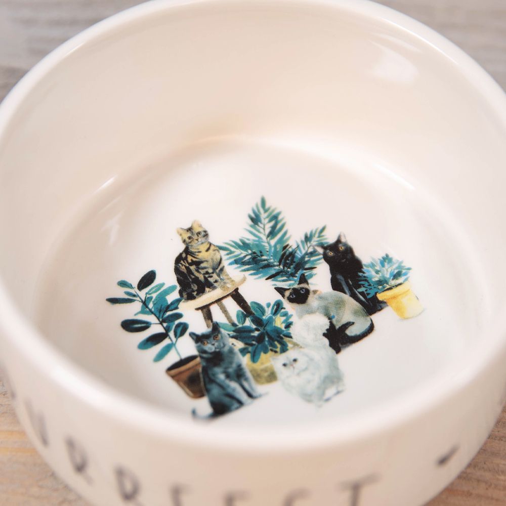 Best of Breed Ceramic Pet Bowl - Cat